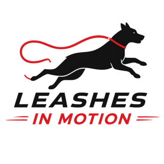 Leashes in Motion